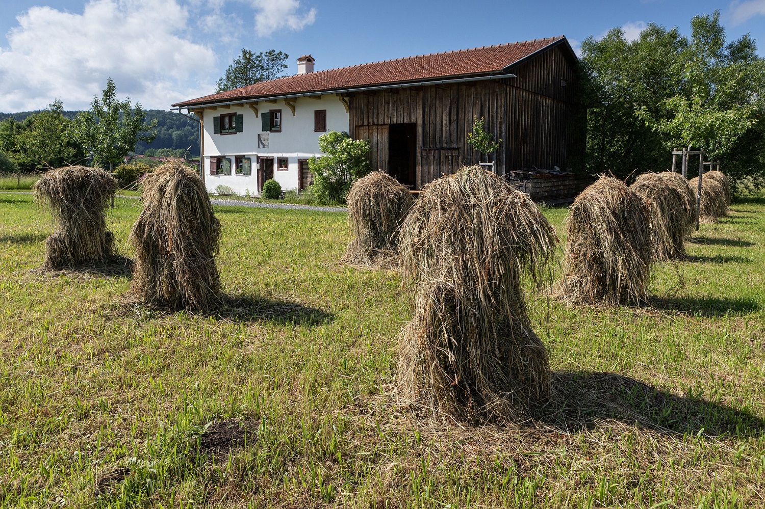 Bauernhaus Museum Wolfegg Museum Im Allg U Allg U